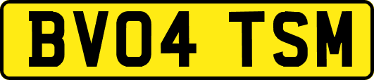 BV04TSM