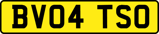 BV04TSO