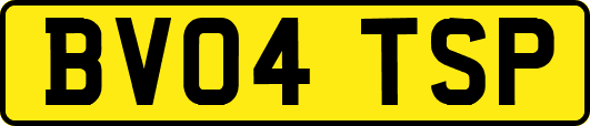 BV04TSP