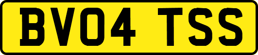 BV04TSS