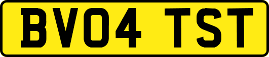 BV04TST