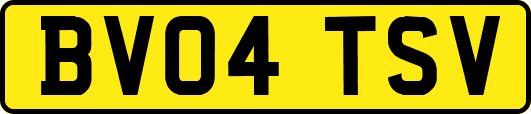 BV04TSV