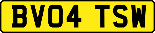BV04TSW