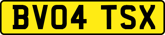 BV04TSX