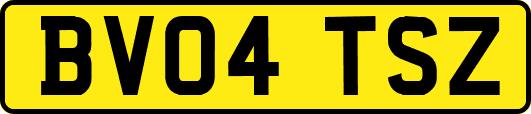 BV04TSZ