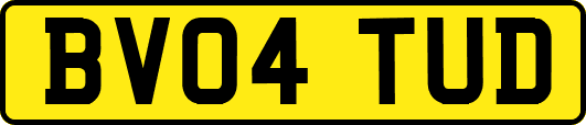 BV04TUD