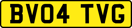 BV04TVG