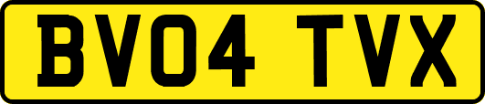 BV04TVX