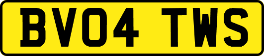 BV04TWS