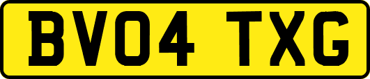 BV04TXG