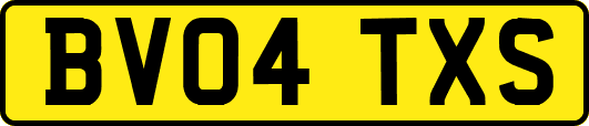BV04TXS