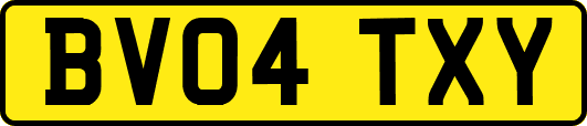 BV04TXY