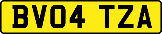BV04TZA