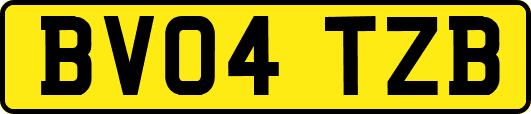 BV04TZB