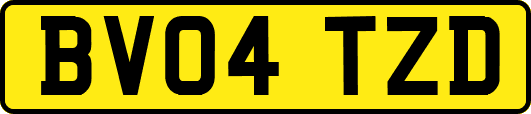 BV04TZD