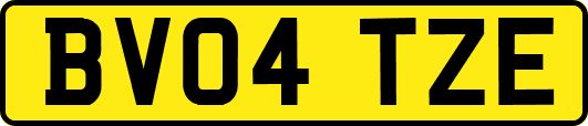 BV04TZE