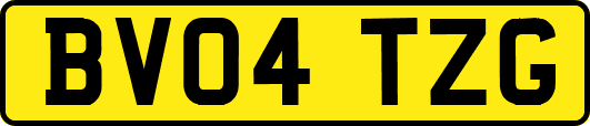 BV04TZG
