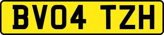 BV04TZH