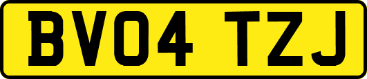BV04TZJ