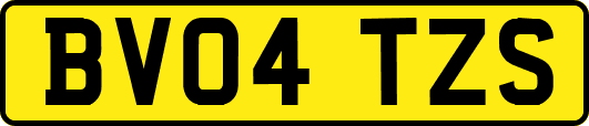 BV04TZS