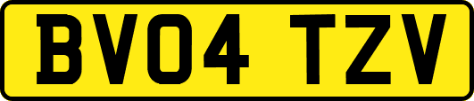 BV04TZV
