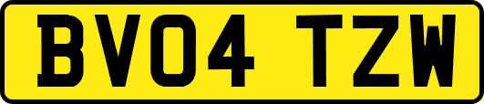 BV04TZW