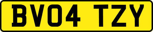 BV04TZY