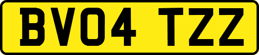 BV04TZZ