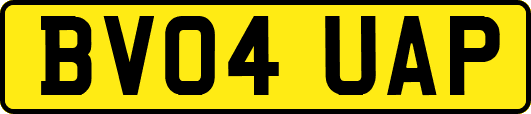 BV04UAP