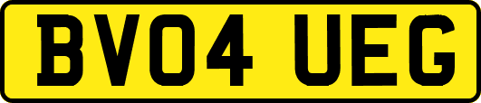 BV04UEG