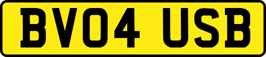 BV04USB