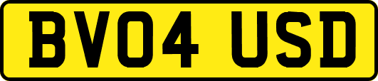 BV04USD