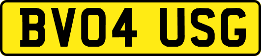 BV04USG