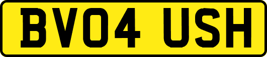 BV04USH