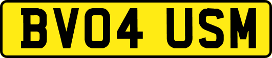BV04USM