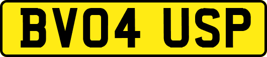 BV04USP
