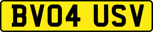 BV04USV