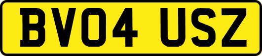 BV04USZ