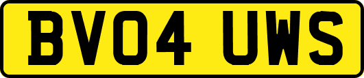 BV04UWS