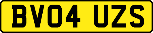 BV04UZS