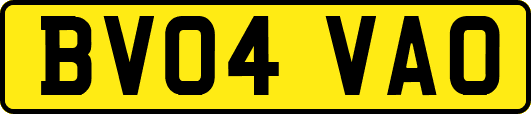 BV04VAO