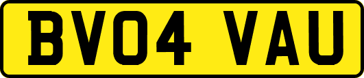 BV04VAU