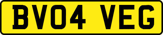 BV04VEG