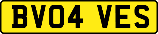 BV04VES