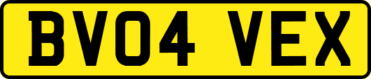 BV04VEX