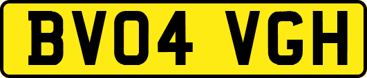 BV04VGH