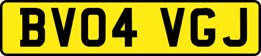 BV04VGJ