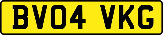 BV04VKG