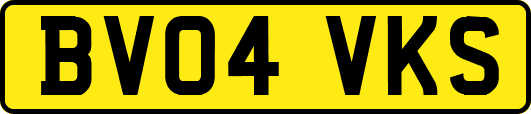 BV04VKS