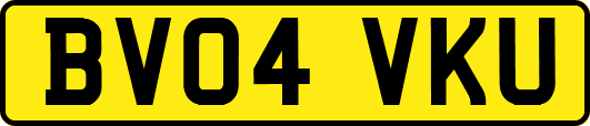 BV04VKU